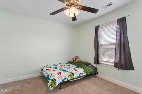 41 Suzanne Dr, Angier, NC 27501 photo 34