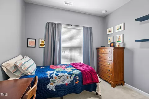 113 Griffis Dr, Stem, NC 27581 photo 23