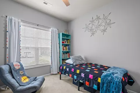 113 Griffis Dr, Stem, NC 27581 photo 17