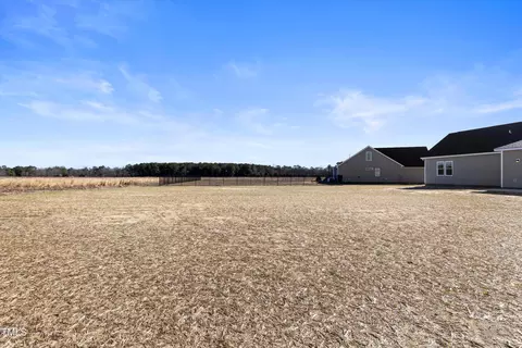 3916 Alpha Ct, Bailey, NC 27807 photo 42