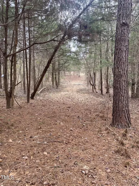0 Lake Rd, Bullock, NC 27507