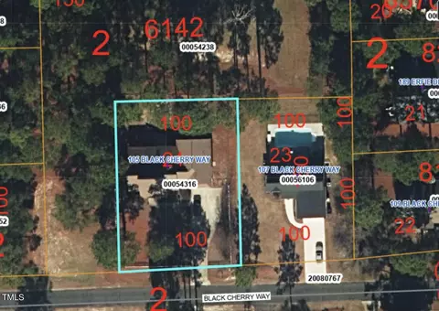 105 Black Cherry Way, Pinebluff, NC 28373 photo 30