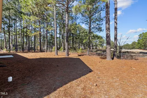 105 Black Cherry Way, Pinebluff, NC 28373 photo 25