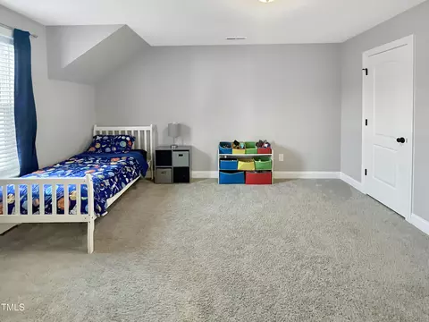 249 Timber Wolf Crossing Xing, Garner, NC 27529 photo 17