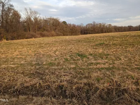 lot1 Pine Ridge Rd, Faison, NC 28341 photo 4