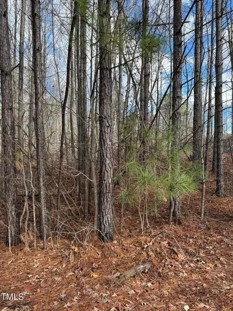 lot26 Will Woods Way, Franklinton, NC 27525