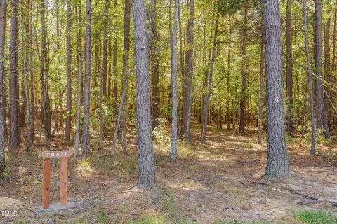 4640 Array Dr, Chapel Hill, NC 27516 photo 46