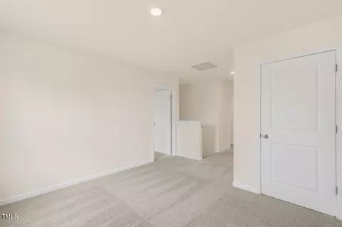 13 Ogburn Hicks Way, Willow Spring, NC 27592 photo 24