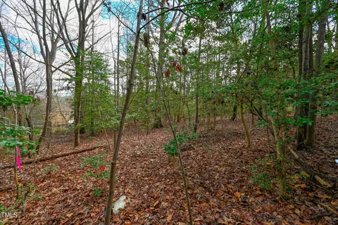1400 Durham, Wake Forest, NC 27587 photo 5
