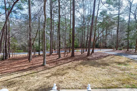 6704 Willow Chase Dr, Willow Spring, NC 27592 photo 3
