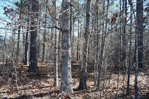 705 Gade Bryant Rd, Moncure, NC 27559 photo 8