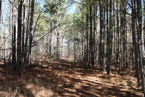 705 Gade Bryant Rd, Moncure, NC 27559 photo 7