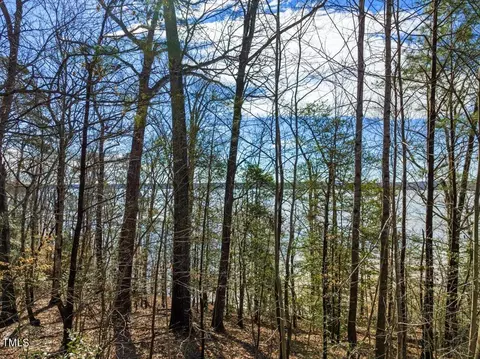 Null Bobcat Trail, Gaston, NC 27832 photo 11