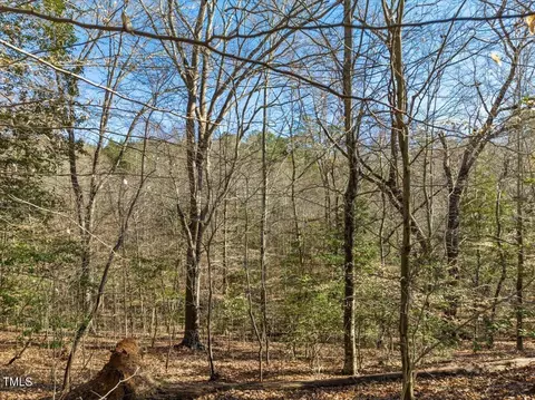 Null Bobcat Trail, Gaston, NC 27832 photo 8