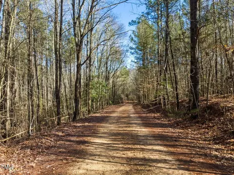 Null Bobcat Trail, Gaston, NC 27832 photo 21
