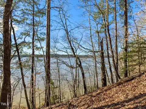Null Bobcat Trail, Gaston, NC 27832 photo 6