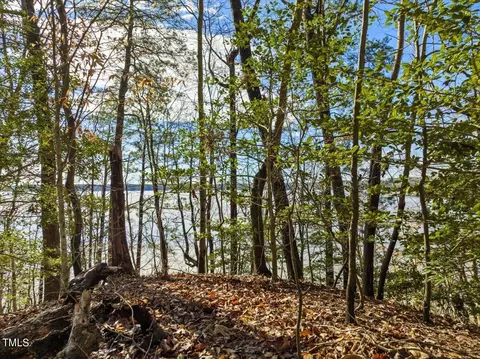 Null Bobcat Trail, Gaston, NC 27832 photo 7