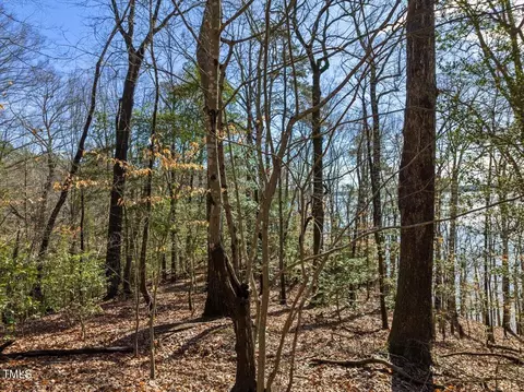 Null Bobcat Trail, Gaston, NC 27832 photo 10