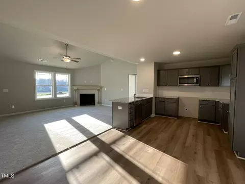 Other - 98 Hydrangea Ln, Benson, NC 27504 photo 3 of 8