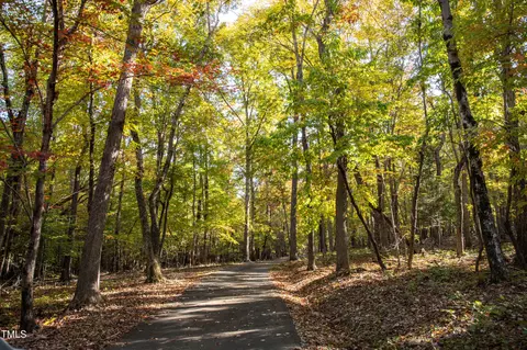 Other - 253 Cothran Hicks Rd, Rougemont, NC 27572 photo 12 of 13