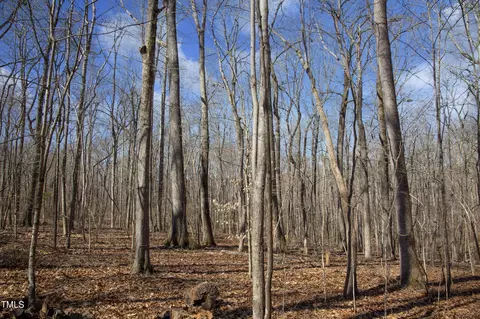 0 Rocky Top Dr, Rougemont, NC 27572