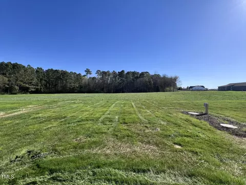 60 Hydrangea Ln, Benson, NC 27504 photo 21