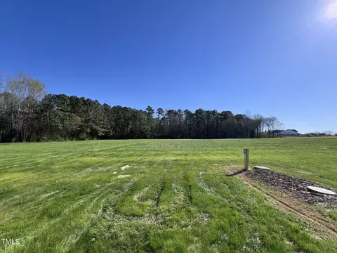 80 Hydrangea Ln, Benson, NC 27504 photo 22