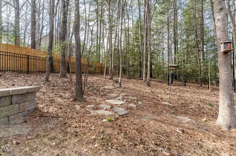 3654 Coach Lantern Ave, Wake Forest, NC 27587 photo 11
