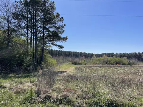 0 Burgess Road Tract #4, Middlesex, NC 27557