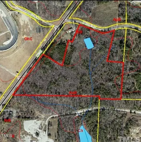 19 Acres Nc 57 Hwy, Rougemont, NC 27572