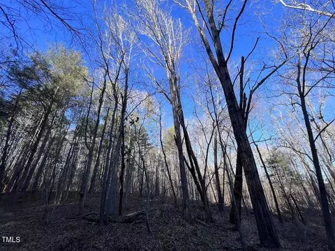 1296 Moriah Rd, Rougemont, NC 27572 photo 42