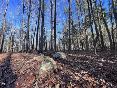 1296 Moriah Rd, Rougemont, NC 27572 photo 34