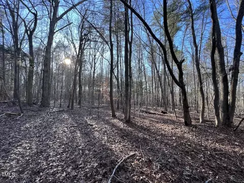 1296 Moriah Rd, Rougemont, NC 27572 photo 36