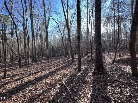 1296 Moriah Rd, Rougemont, NC 27572 photo 31