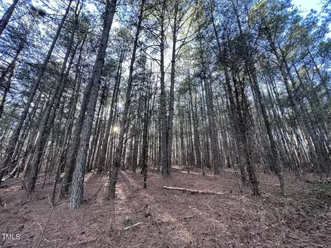 1296 Moriah Rd, Rougemont, NC 27572 photo 52
