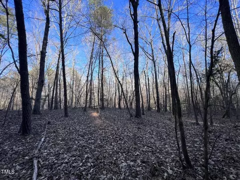 1296 Moriah Rd, Rougemont, NC 27572 photo 51