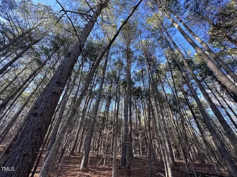 1296 Moriah Rd, Rougemont, NC 27572 photo 27