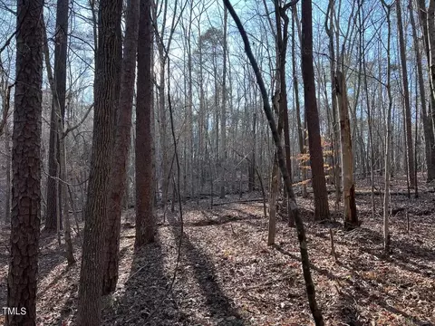 1296 Moriah Rd, Rougemont, NC 27572 photo 30