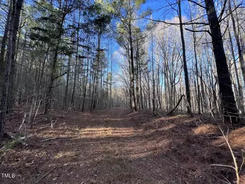 1296 Moriah Rd, Rougemont, NC 27572 photo 14