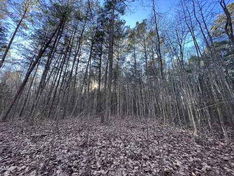 1296 Moriah Rd, Rougemont, NC 27572 photo 26