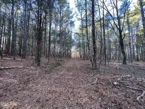 1296 Moriah Rd, Rougemont, NC 27572 photo 54