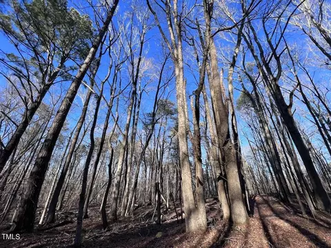 1296 Moriah Rd, Rougemont, NC 27572 photo 33