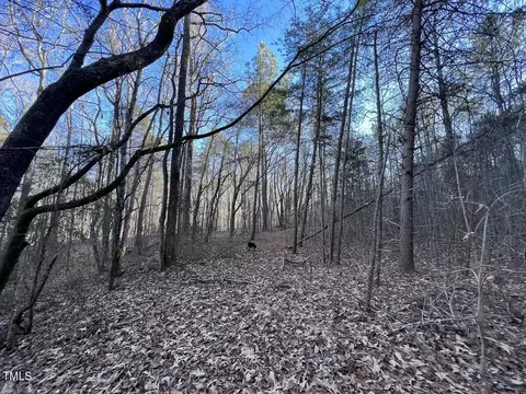1296 Moriah Rd, Rougemont, NC 27572 photo 37