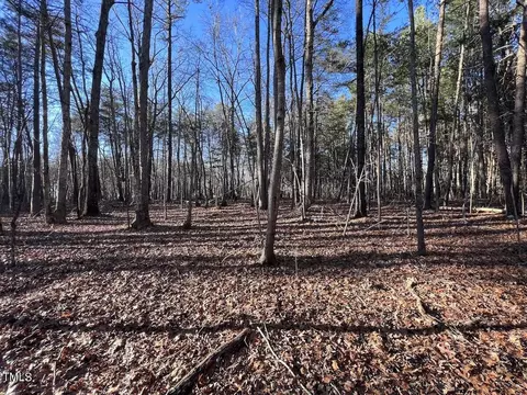 1296 Moriah Rd, Rougemont, NC 27572 photo 35
