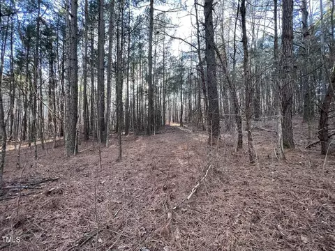 1296 Moriah Rd, Rougemont, NC 27572 photo 39