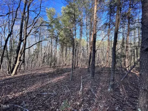 1296 Moriah Rd, Rougemont, NC 27572 photo 43