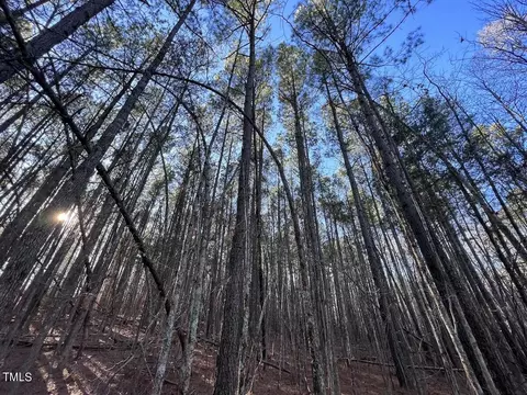 1296 Moriah Rd, Rougemont, NC 27572 photo 18