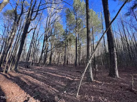 1296 Moriah Rd, Rougemont, NC 27572 photo 55