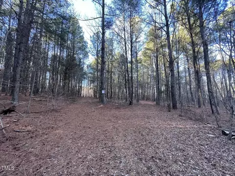 1296 Moriah Rd, Rougemont, NC 27572 photo 24