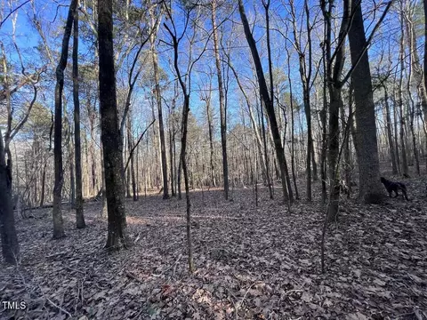1296 Moriah Rd, Rougemont, NC 27572 photo 53